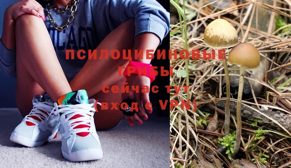 прущие крисы Баксан