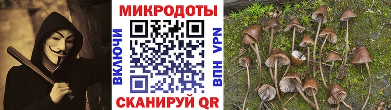 Галлюциногенные грибы мухоморы  Заозёрск 
